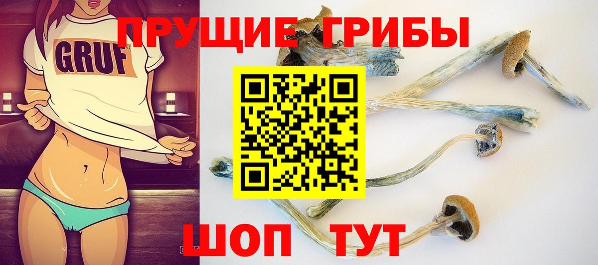 Архангельск  купить наркотик  Вход с VPN  Галлюциногенные грибы мицелий 